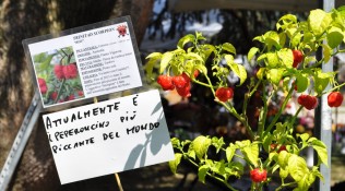 Buona la prima di Fiorinfiera!