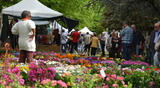 A Borgo San Lorenzo un’esplosione di colori per “Fiorinfiera”