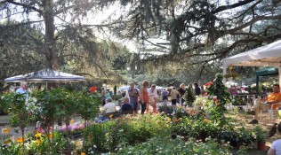 Fiorinfiera – nel Borgo Fiorito, una settimana al via