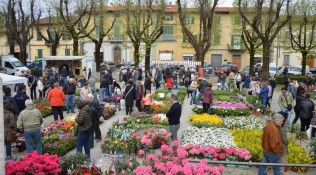 Un successo di colori nei giardini di Fiorinfiera-Nel Borgo fiorito