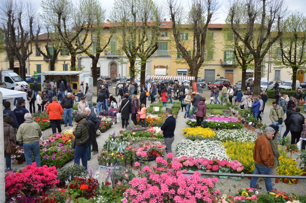 Un successo di colori nei giardini di Fiorinfiera-Nel Borgo fiorito