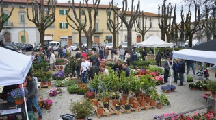 “Fiorinfiera” trasformerà Borgo San Lorenzo in un giardino