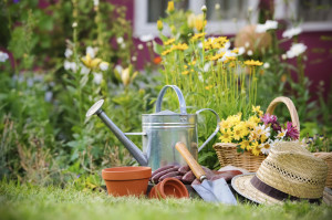 gardenequipment-hat