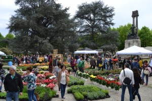 FIORINFIERA 2016  (4)
